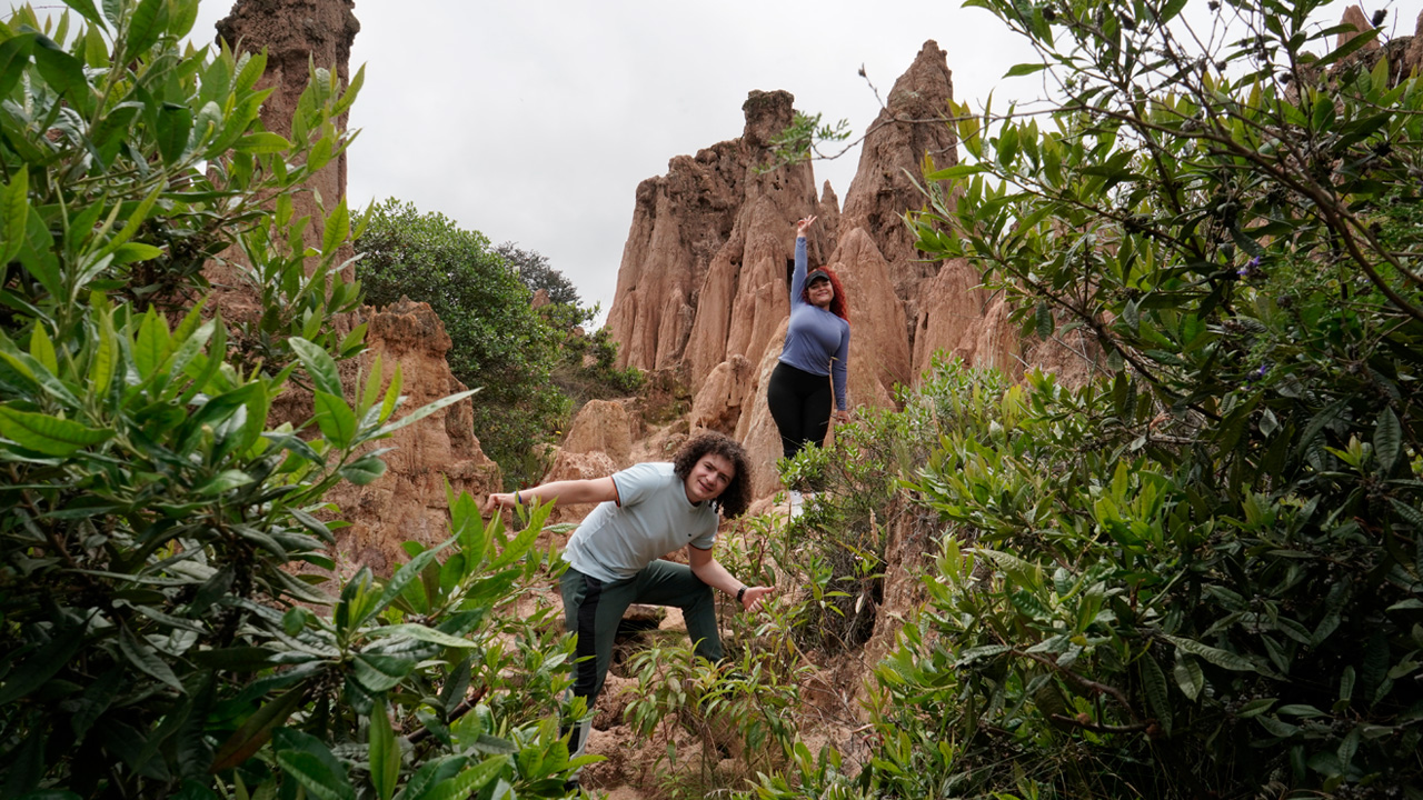 Team Building Bogotá: 10 Actividades Experienciales que Transforman Equipos