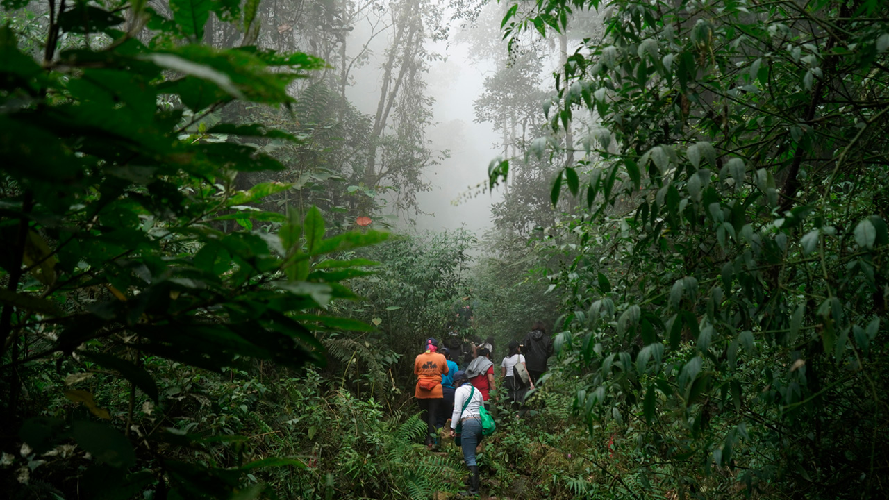 Programas de RSE para Empresas en Colombia: Impacto Real y Medible
