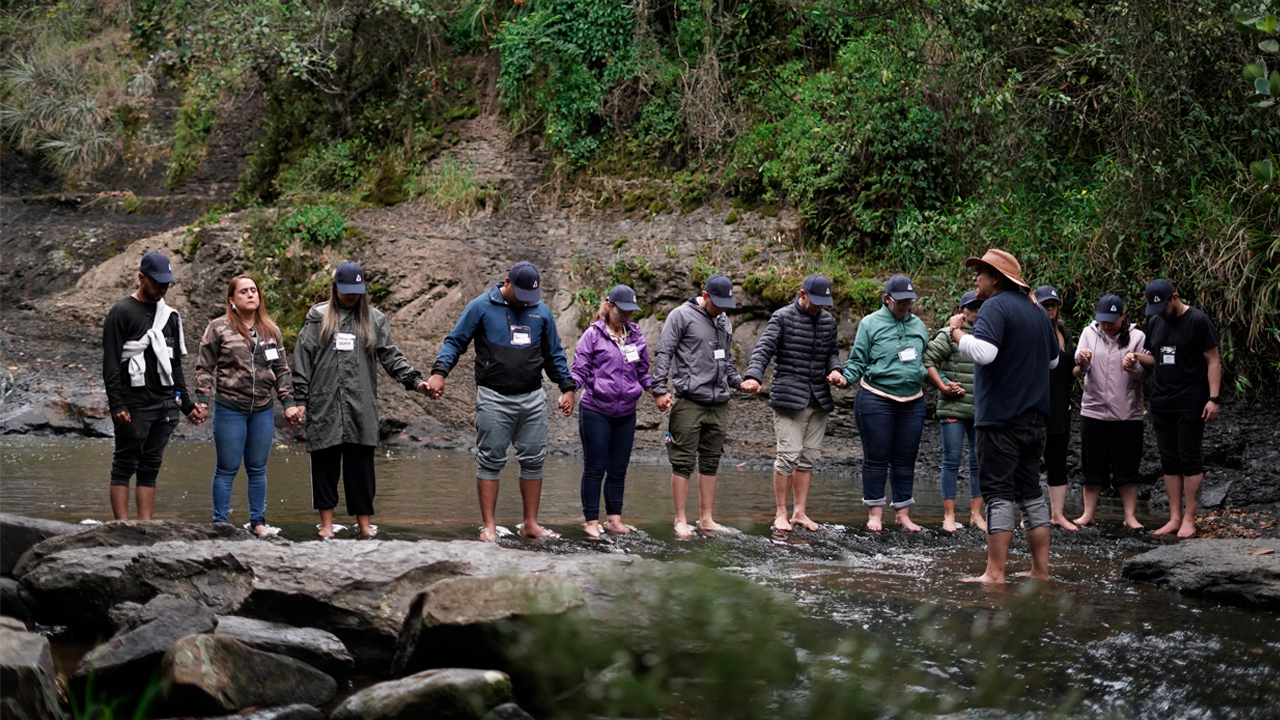 Coaching Ejecutivo en Colombia: Guía para Transformar tu Alta Gerencia